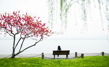 唯的造句