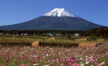 首的造句