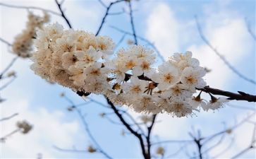 写到的造句