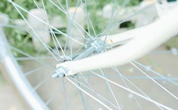 中华的造句